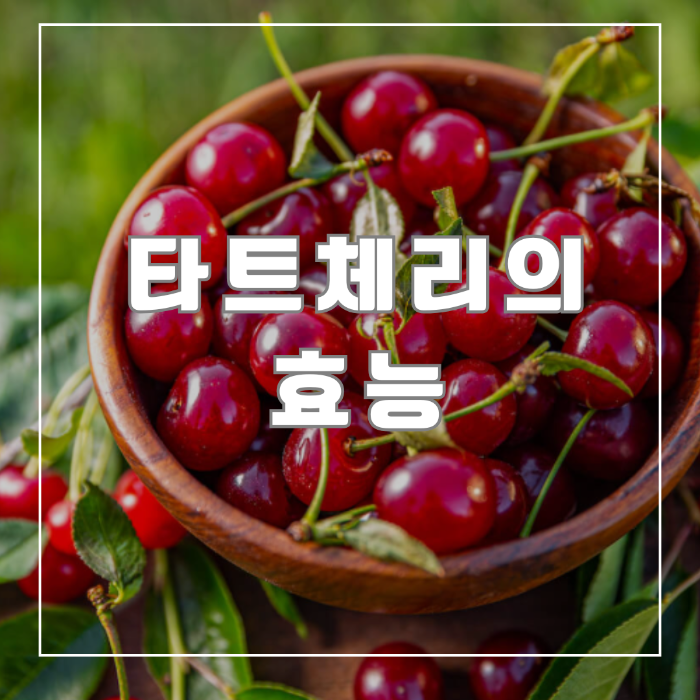 타트체리효능