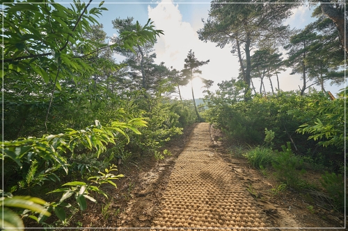 퍼즈글램핑-전경