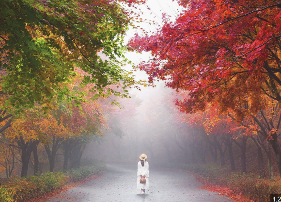 대한민국 숙박세일 페스타 꿀정보 모음