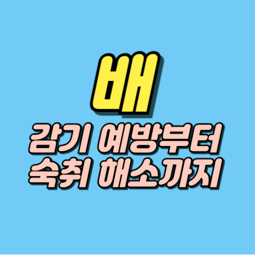 배 효능 부작용