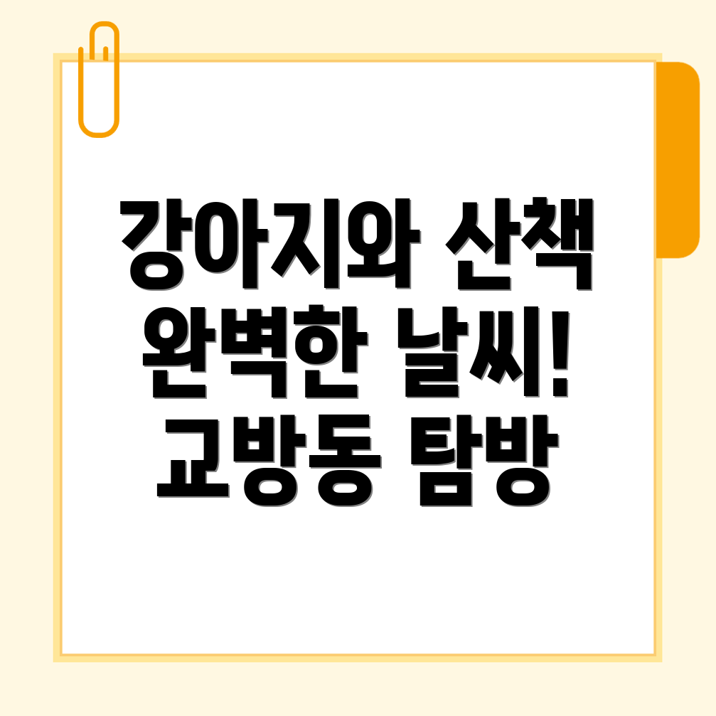 강아지 산책