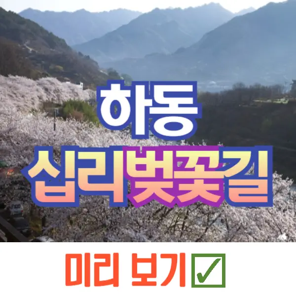 하동 십리벚꽃길 개화상황