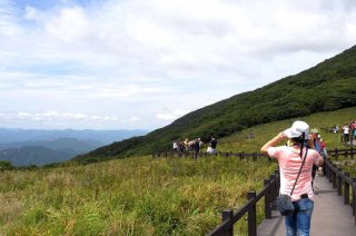 곰배령 예약하기