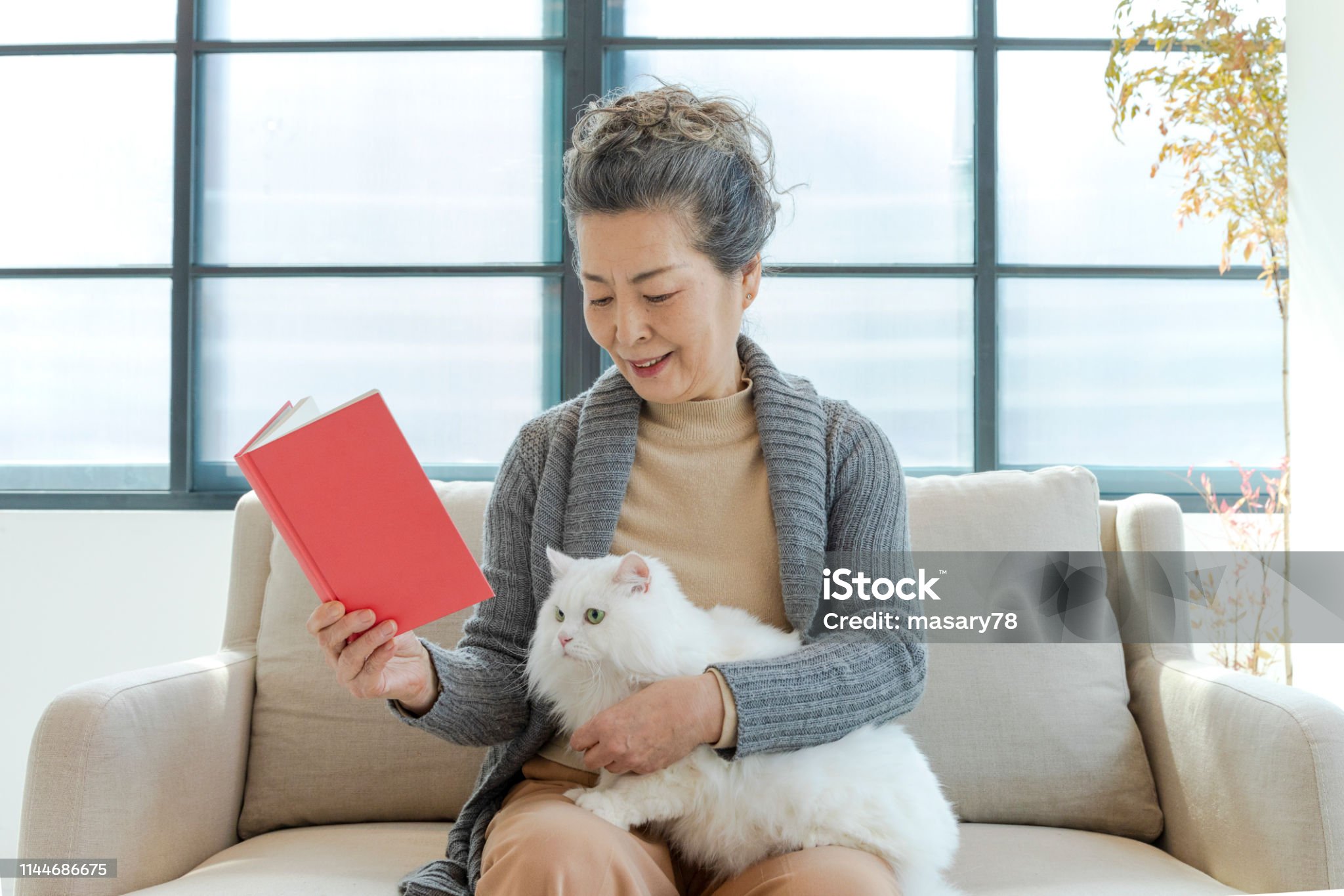 60대 부모님 보험추천