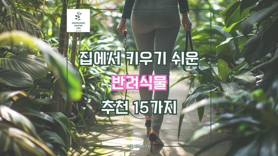집에서 키우기 쉬운 반려 식물 추천 15가지