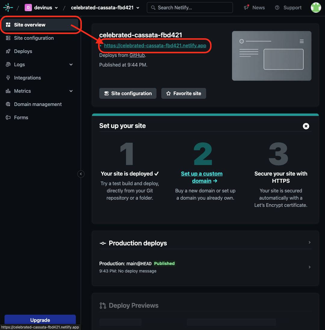 netlify site overview