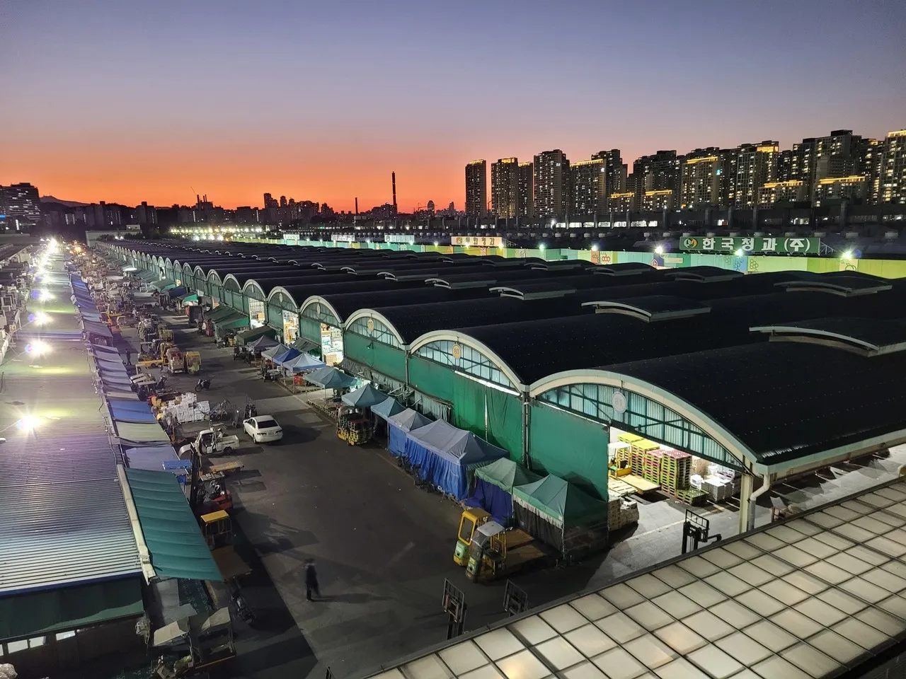 가락시장 맛집 회센터 수산시장 꽃게_8