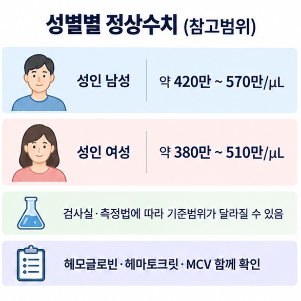 성인 남성 여성 적혈구 일반 참고범위와 헤모글로빈 헤마토크릿 MCV를 함께 확인하는 이미지