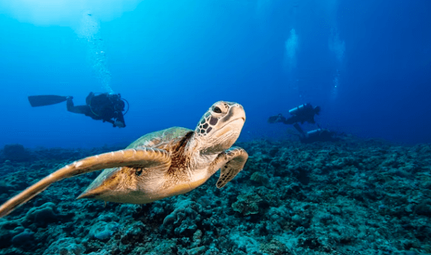 사이판 자유여행&amp;#44; 핵심 일정부터 경비까지 완벽 정리