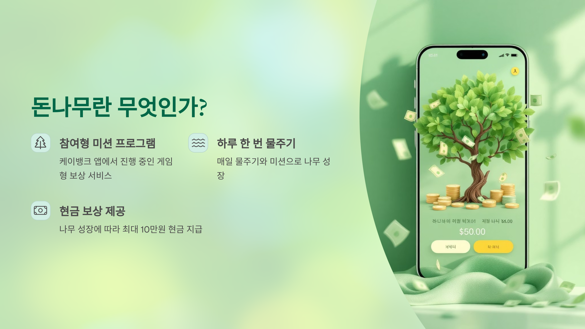 케이뱅크 돈나무