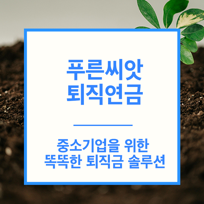푸른씨앗퇴직연금이란? 제도의 개요와 도입 배경