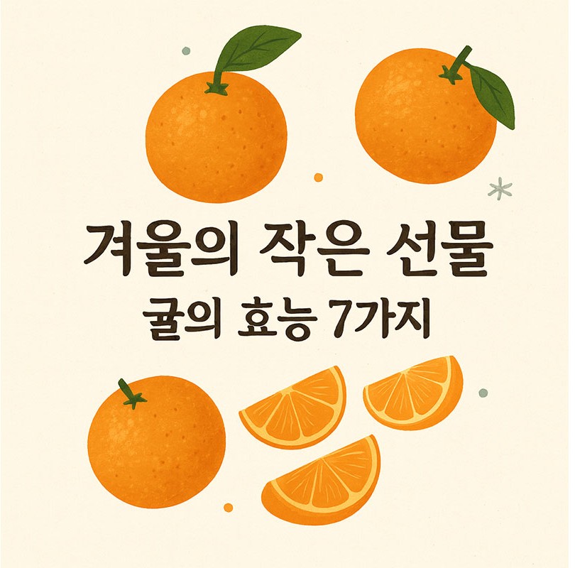 겨울의 작은 선물, 귤의 효능 7가지