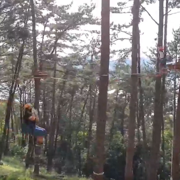 거제 맹종죽테마공원