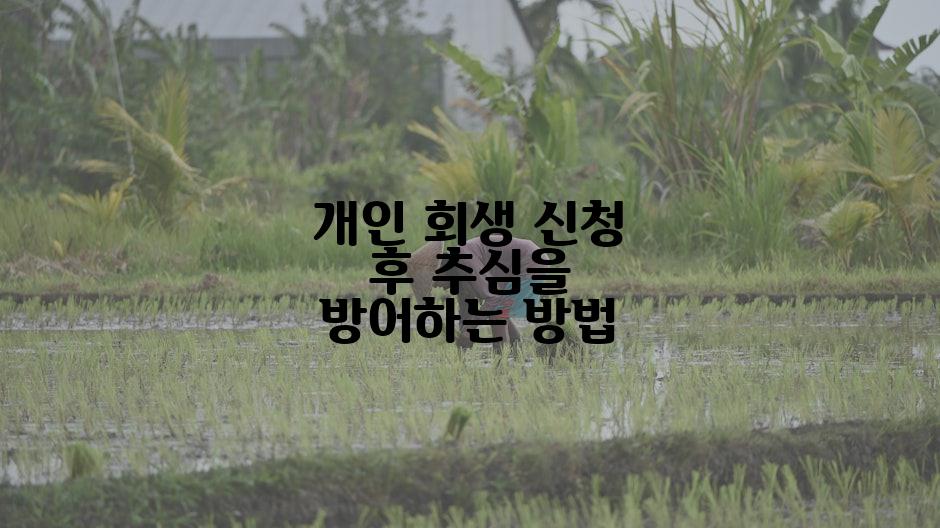 개인 회생 신청 후 추심을 방어하는 방법