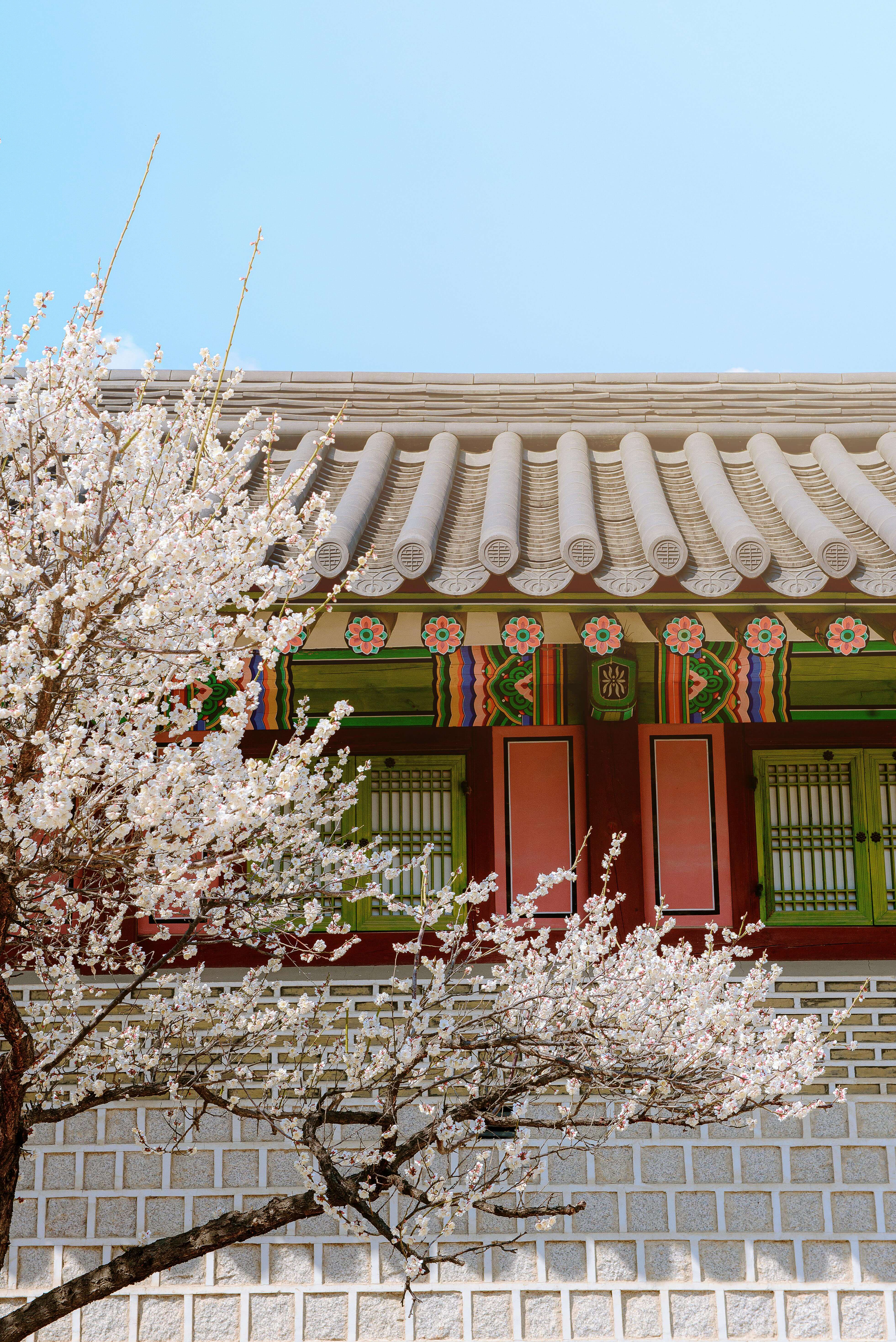 65세 이상 실업급여 수급 종료 후 재신청 - 재신청가능 조건&amp;#44; 재신청 절차&amp;#44; 주의사항&amp;#44; 추가지원사항
