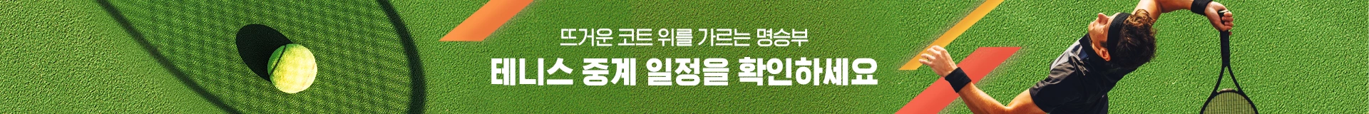 2024 US 오픈 테니스