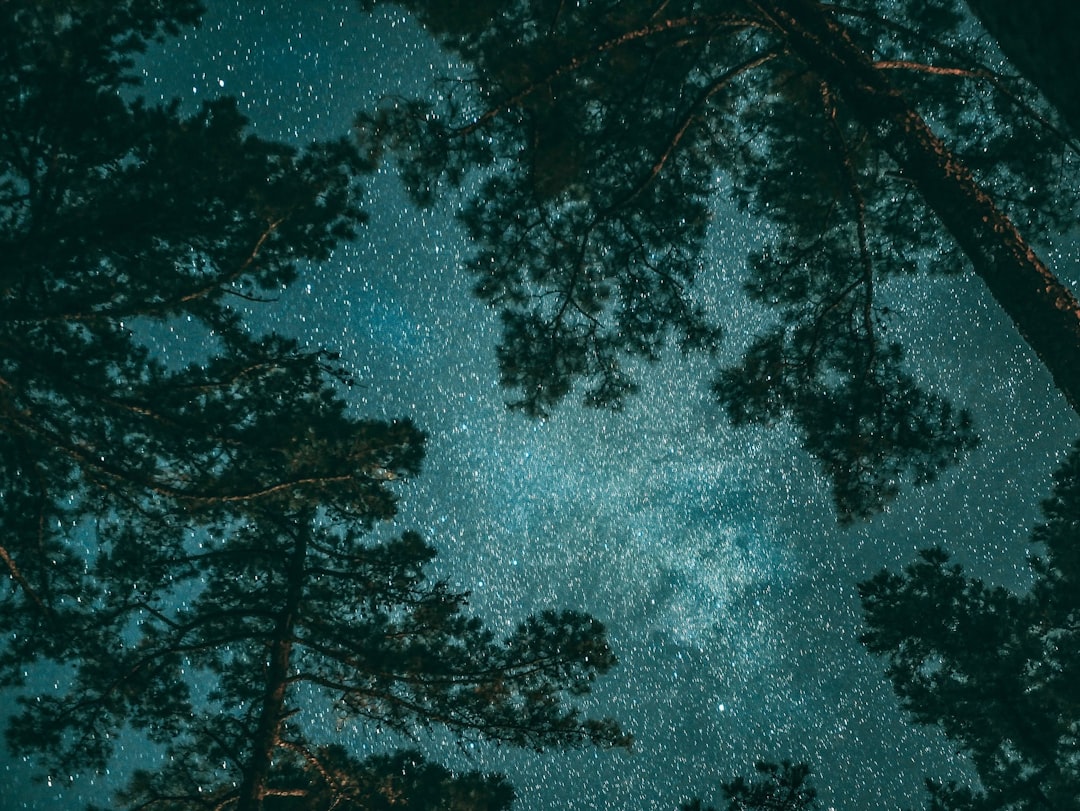 Cosmos