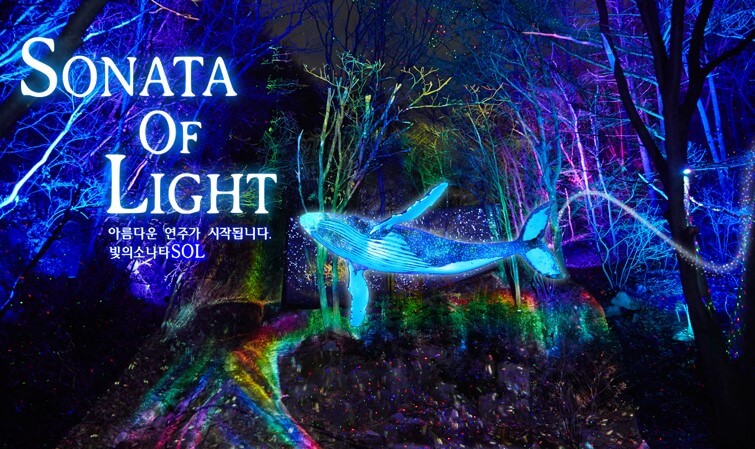 오크밸리 3D 라이팅쇼 소나타오브라이트는 밤이 되면 환상적인 세계로 변합니다.