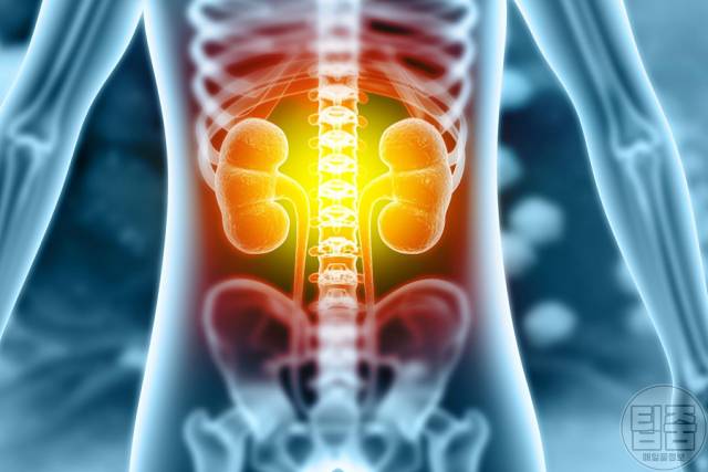 신장에 좋은 음식 나트륨 칼륨 인 적은 음식