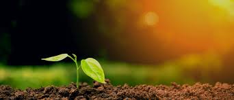 농업경영체 등록