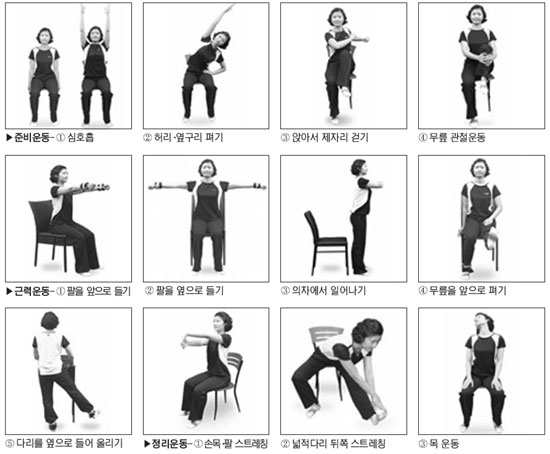 💪 “70세도 벤치프레스 한다?” 노인을 위한 근력운동, 새로운 건강 습관