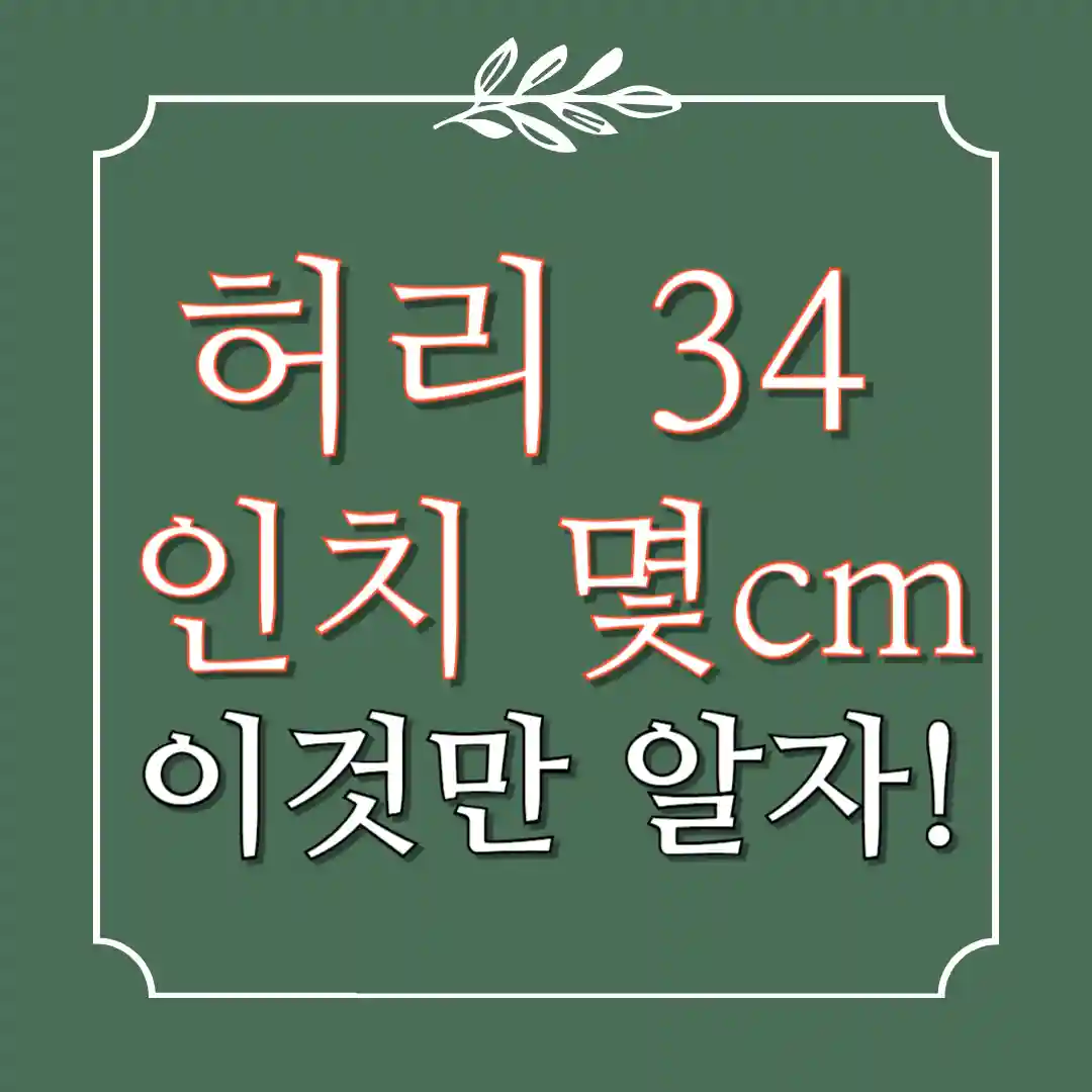 허리 34인치 몇cm