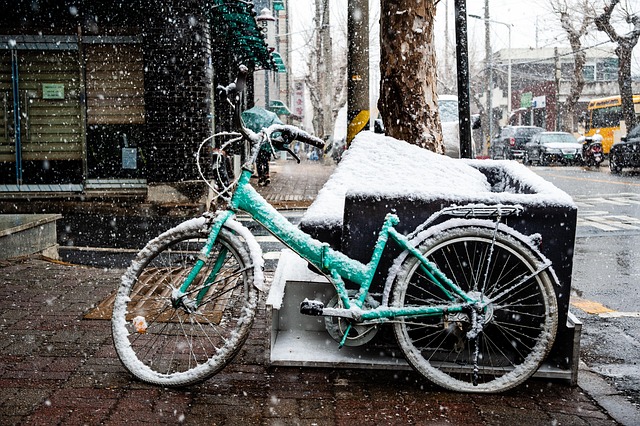 ❄️ 2025년 수원 첫눈 언제? 11월 25일 최신 수원 첫눈 예보와 ai가 예측한 올해 예상 시기 ❄️