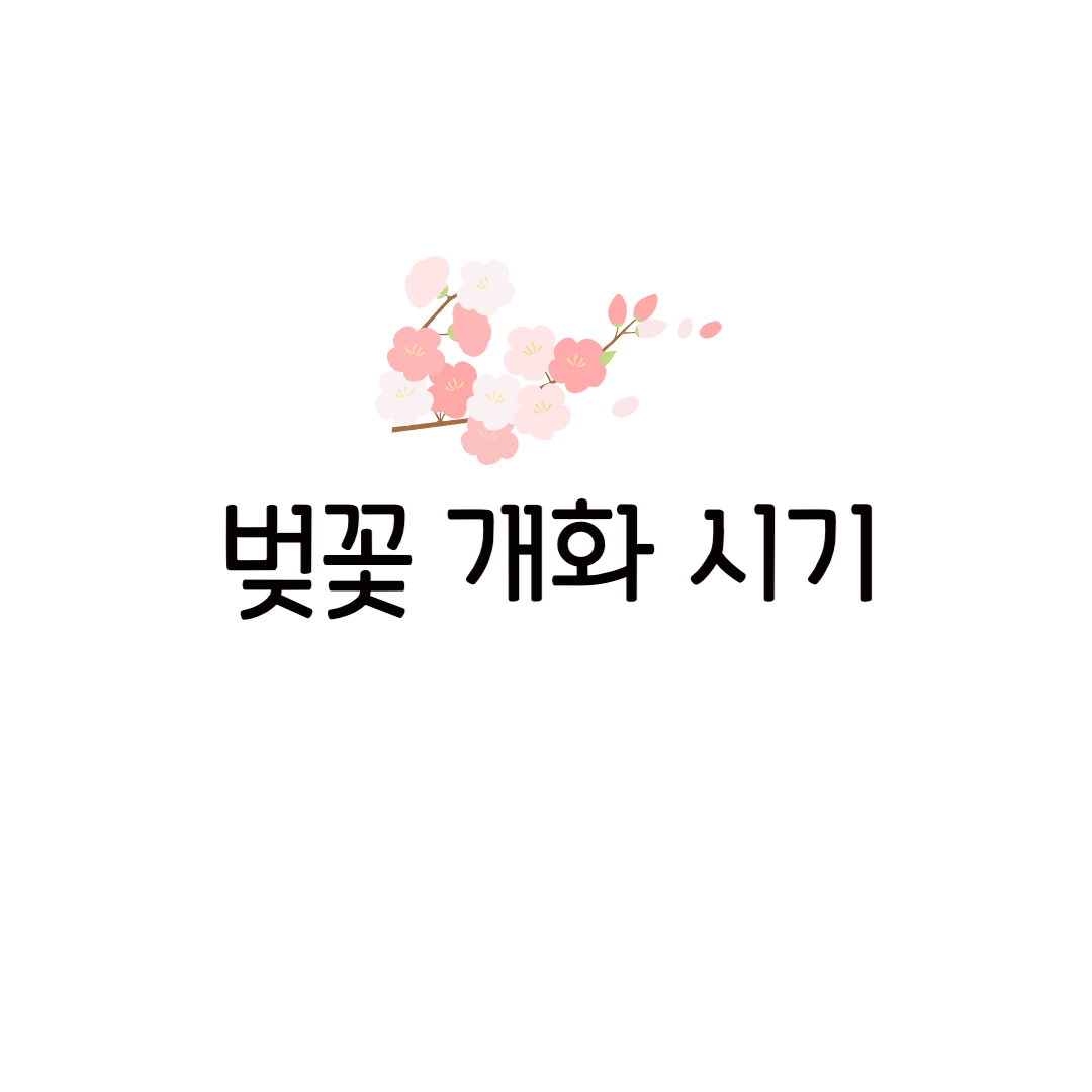 2025 서울 벚꽃 개화 시기 만개 전국 벚꽃 명소