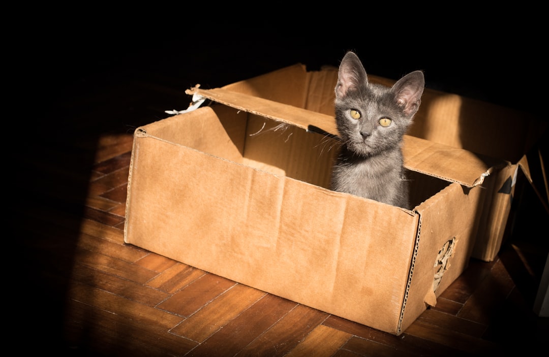 Moving box.