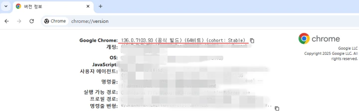 Chrome ๋ฒ์ 136 ํ์ธ ํ๋ฉด ์์