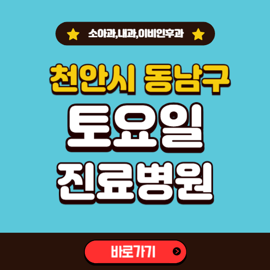 천안시 동남구 토요일 진료 병원 찾기 ❘ 주말 문여는 소아과, 내과, 이비인후과 리스트