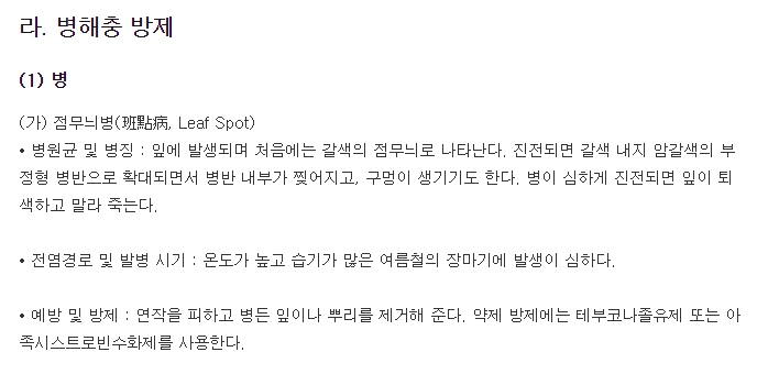 잘 자란 잎을 살피며 진딧물과 응애를 꼼꼼하게 관리하는 모습