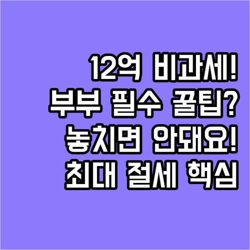배우자 상호 증여 $12$억 원 비과..