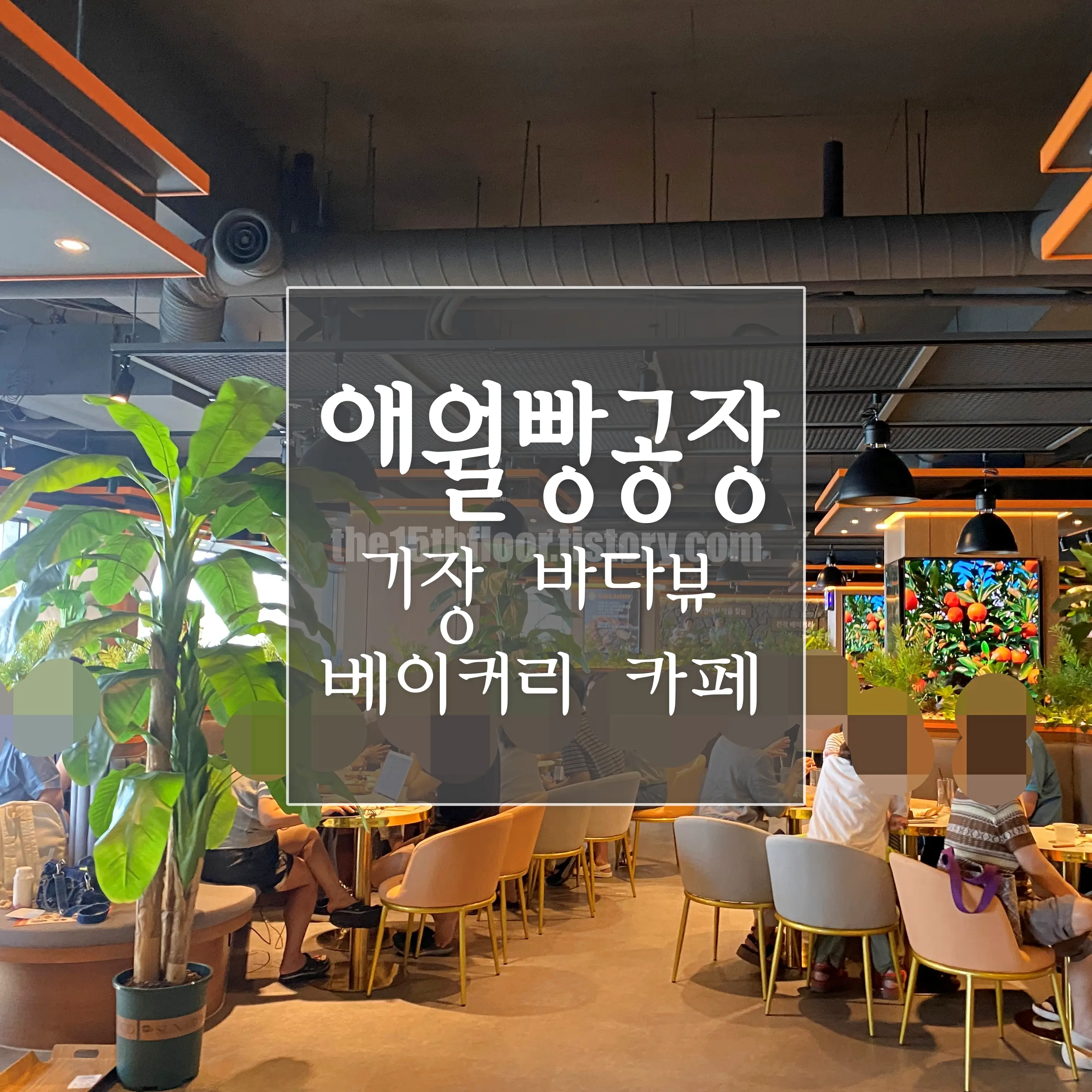 기장 오션뷰 베이커리 카페 '애월빵공장 부산기장점'