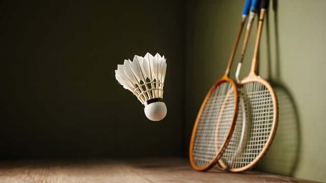 안세영 월드투어 일정