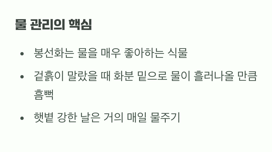 물을 사랑하는 꽃, 목마르지 않게