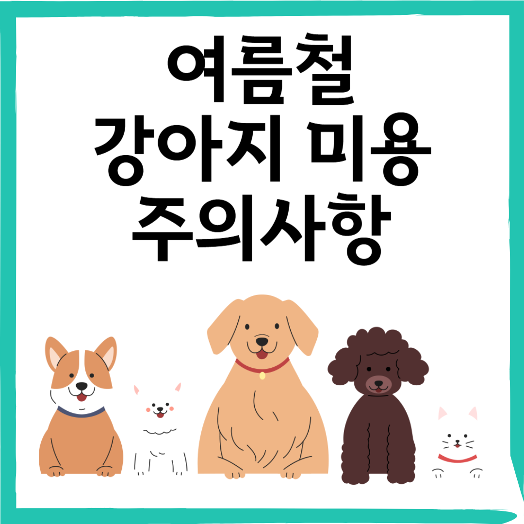 여름엔 강아지 털 밀어야 할까? 실버푸들 키우며 알게 된 미용의 진실