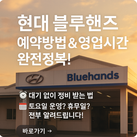 현대 블루핸즈 예약 및 영업시간 총정리