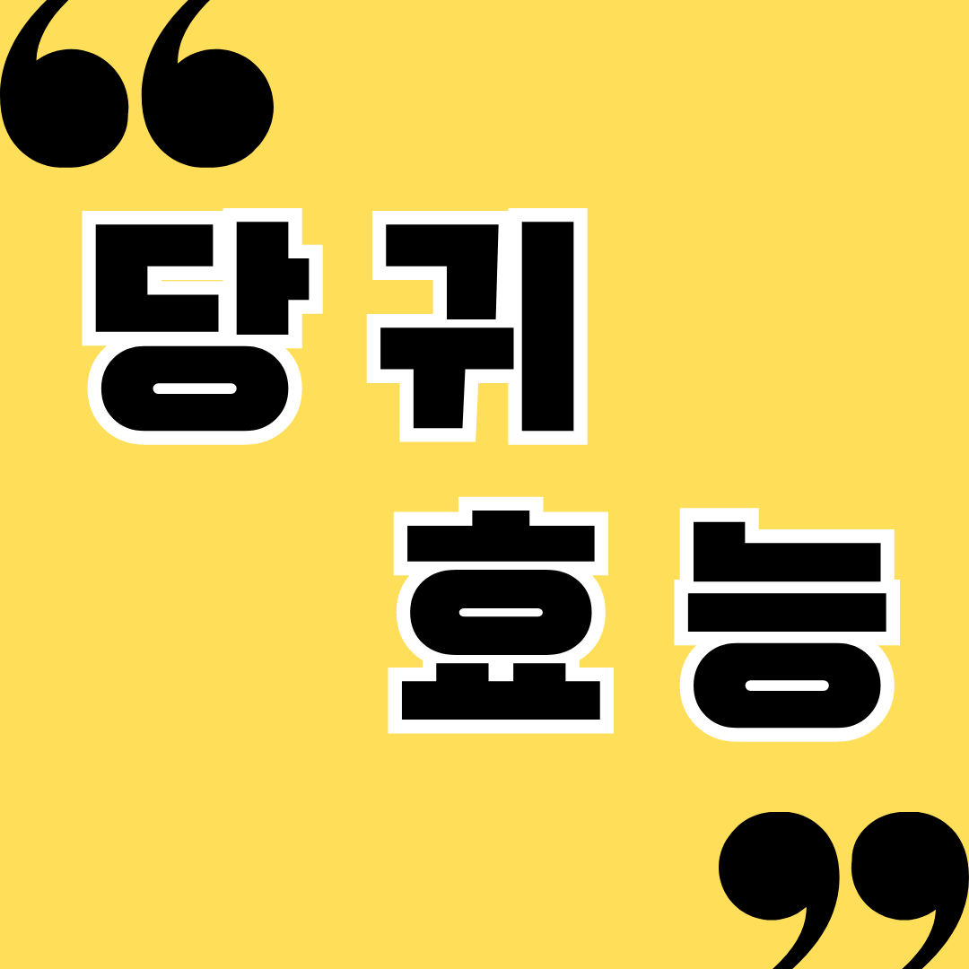 당귀 효능 및 당귀잎 먹는법