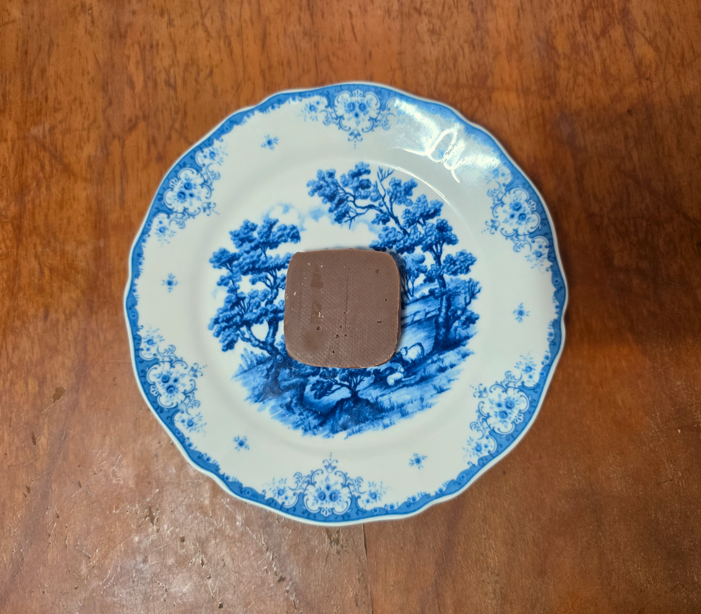 일본여행선물안테노르카카오비스킷오쇼콜라