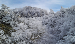 평창 대관령의 겨울
