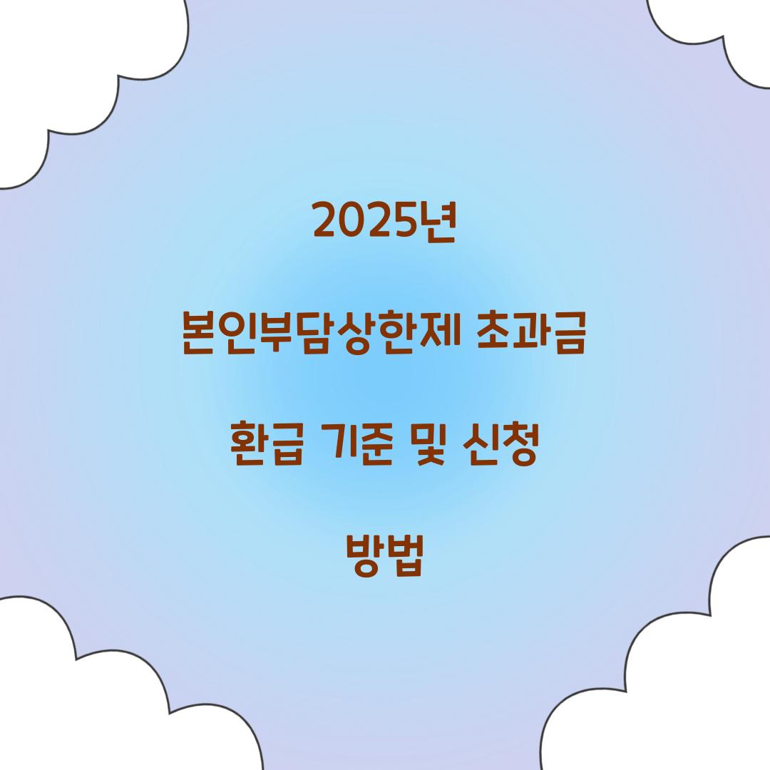 2025년 본인부담상한제 초과금 환급
