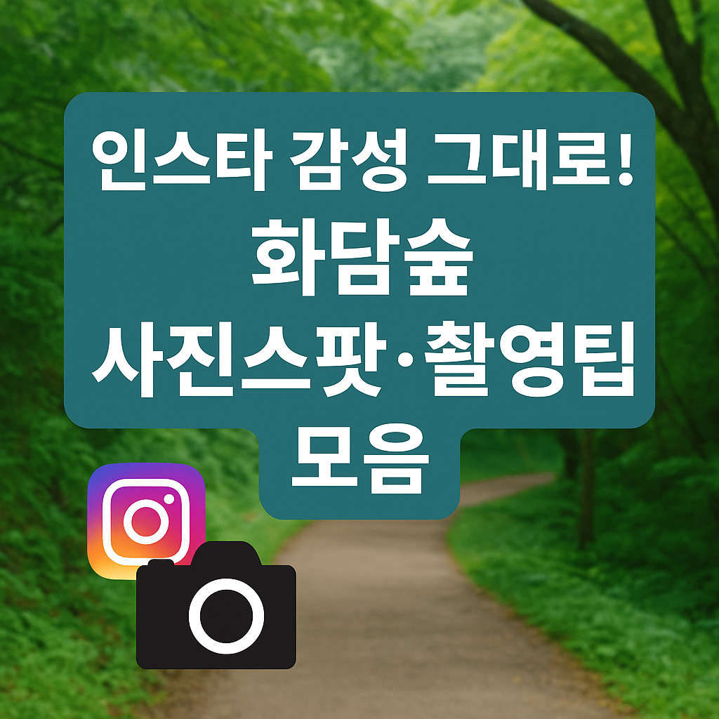 📸 인스타 감성 그대로! 화담숲 사진스팟·촬영팁 모음