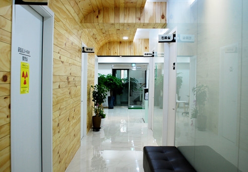 송파구 잠실본동 내과 병원 감기 독감 진료 유명한 곳 잘하는 곳 추천