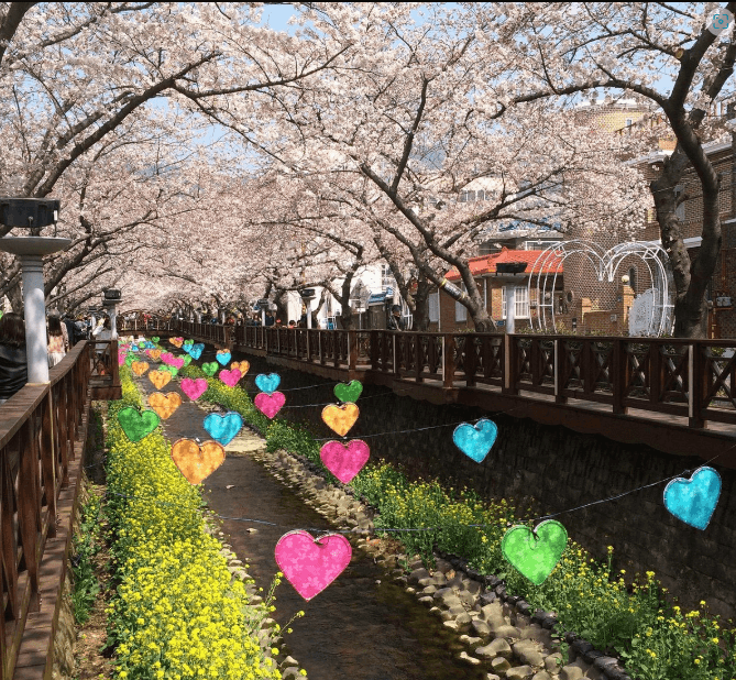 인천-드림파크-벚꽃축제