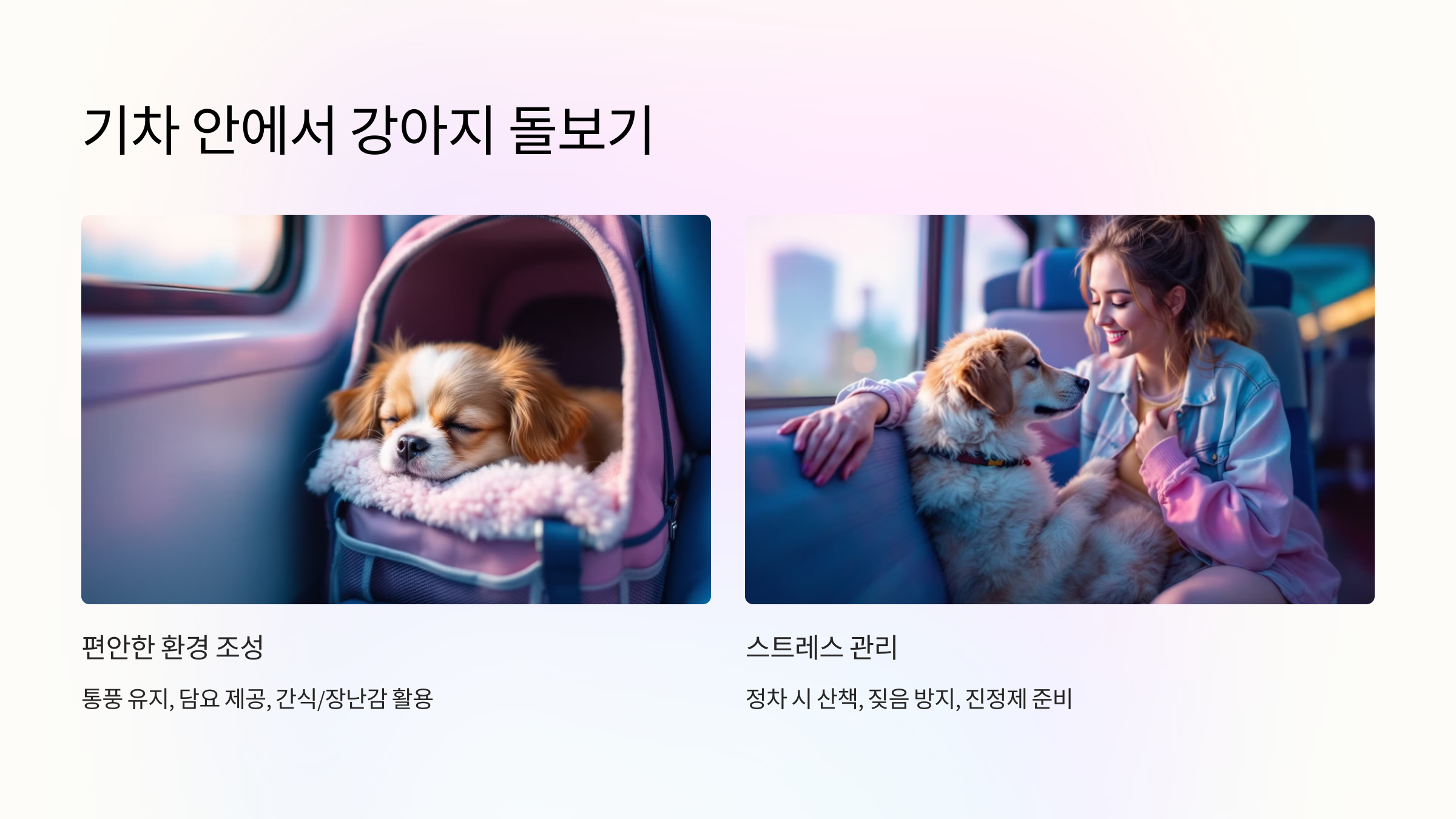 기차 안에서 강아지 돌보기