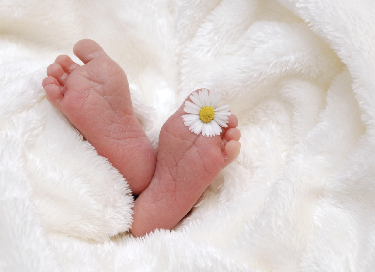 조산아 및 초미숙아 합병증