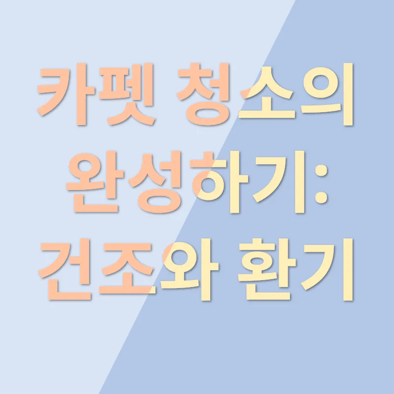 카펫 청소_3