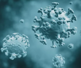 요즘 A형 vs B형 독감 증상 차이