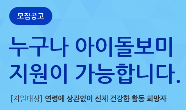 아이돌보미